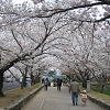 Omura Park