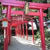 Aoi Aso Shrine