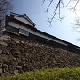 Fukuoka Castle Ruin