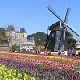 Huis ten bosch sasebo