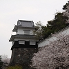 Kushima Castle Ruin