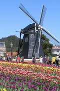 Huistenbosch_4_S.jpg