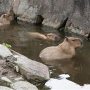 nagasaki_biopark_3_S.jpg