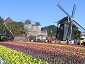 Huis Ten Bosch